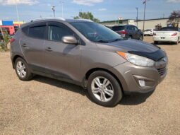 
										Hyundai Tucson full									