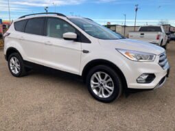 
										2018 Ford Escape SEL full									